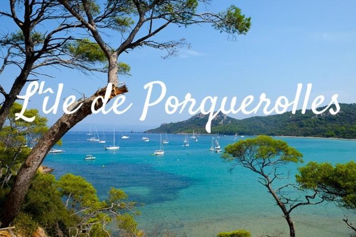 Superbe Logement Au Bord Des Plages Toulon Exterior photo